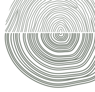 Tree People logo - Tree & Finger print - Sage.png