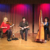 Celtic Fire Irish music and dance band in school performance