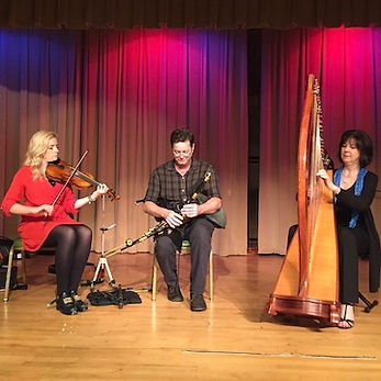 Celtic Fire Irish music and dance band in school performance