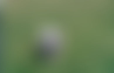 Quote For The Week of 4.2.17