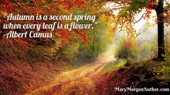Autumn Newsletter 2023