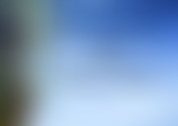 Merry Christmas from the Tavern