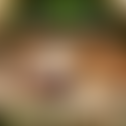 Friday Feast | Entering October with Mushroom Soup