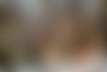 Twelfth Night and Dismantling My Home