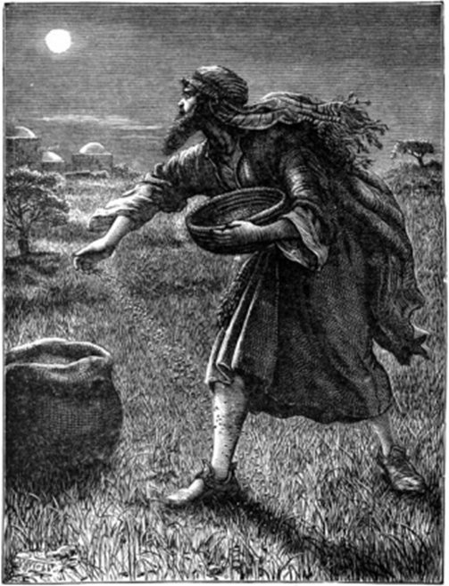 The Enemy sowing Tares. Illustration for Bible Pictures and Stories, D J D (Partridge, c 1885)