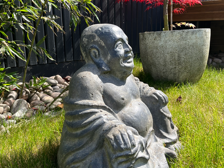 A moment in the sun