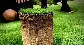 Horticultural services