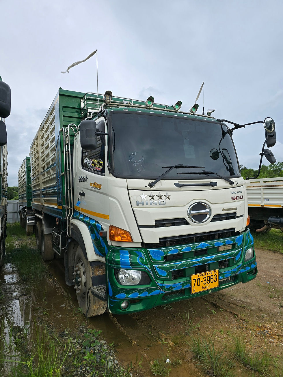 ภาพขนาดย่อ: HINO FM1AN1D(S) (10 ล้อ) กระบะดัมพ์พื้นเลสคอกอลูมิเนียม N/A (2022) SK22-6501073