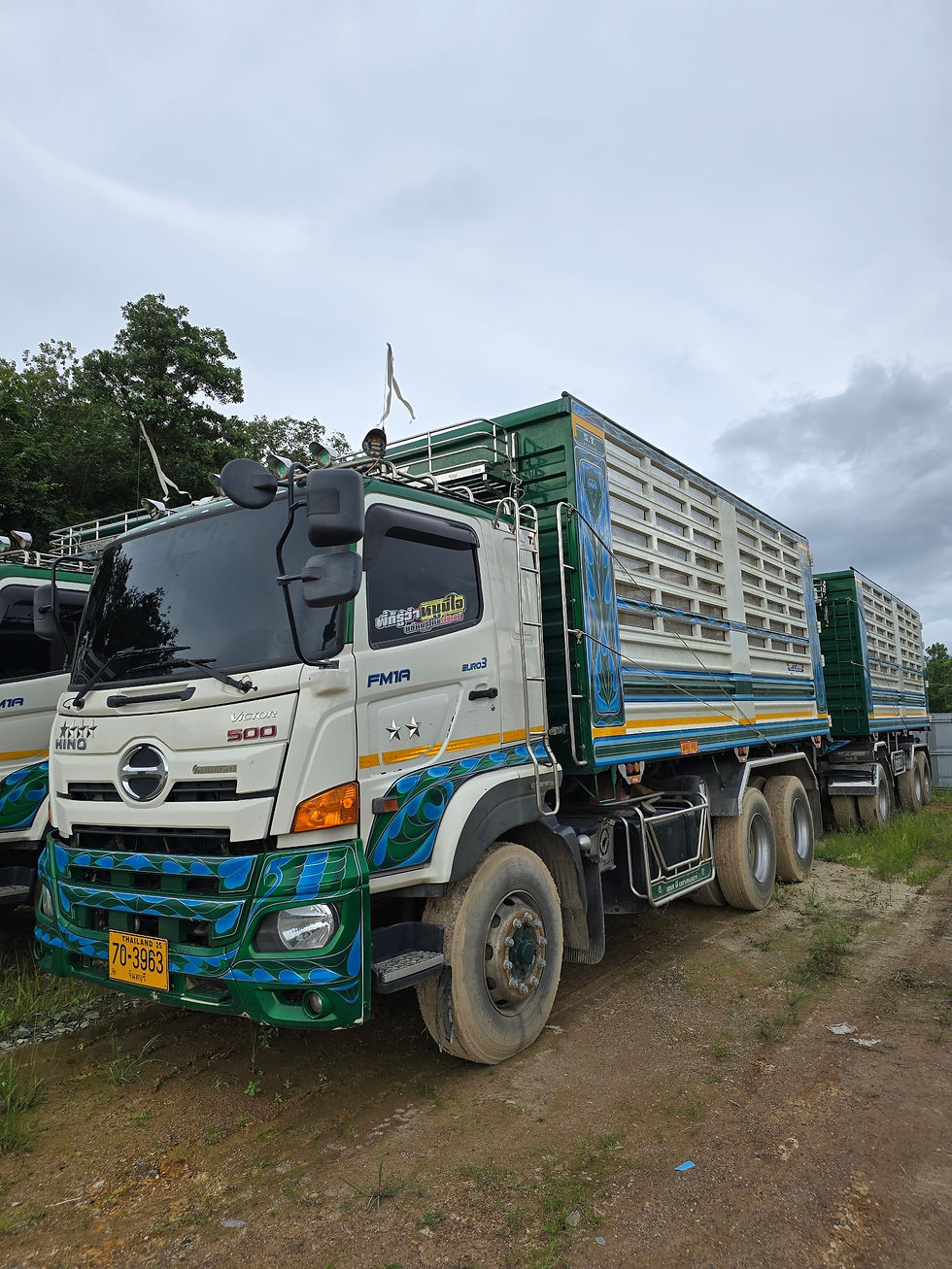ภาพขนาดย่อ: HINO FM1AN1D(S) (10 ล้อ) กระบะดัมพ์พื้นเลสคอกอลูมิเนียม N/A (2022) SK22-6501073