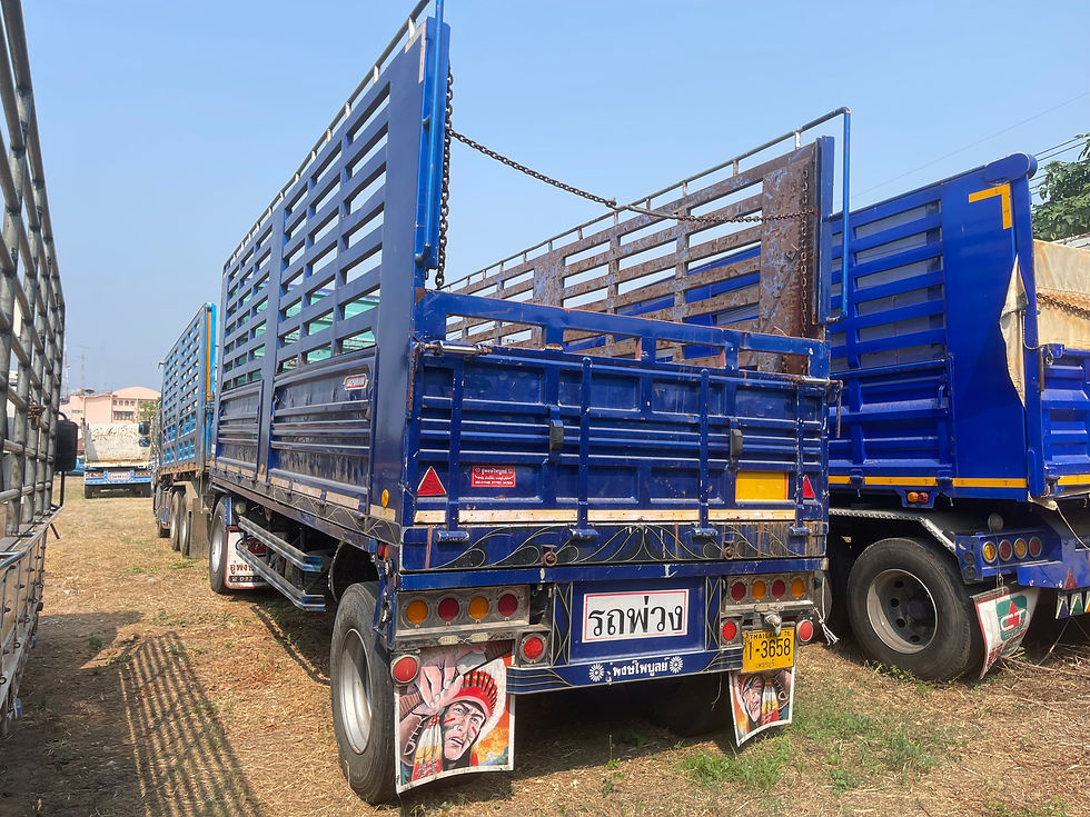 ภาพขนาดย่อ: OTHER หางพ่วงกระบะคอก (2022) SK22-6500412