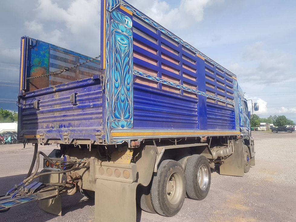 ภาพขนาดย่อ: ISUZU 10 ล้อ กระบะดั๊มพ์เกษตรพื้นสแตนเลท (2023) HO53-6600099