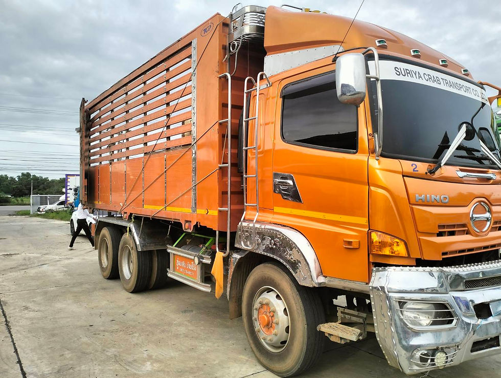 ภาพขนาดย่อ: HINO 10 ล้อ, กระบะดั๊มพ์ (2023) HO10-6620359