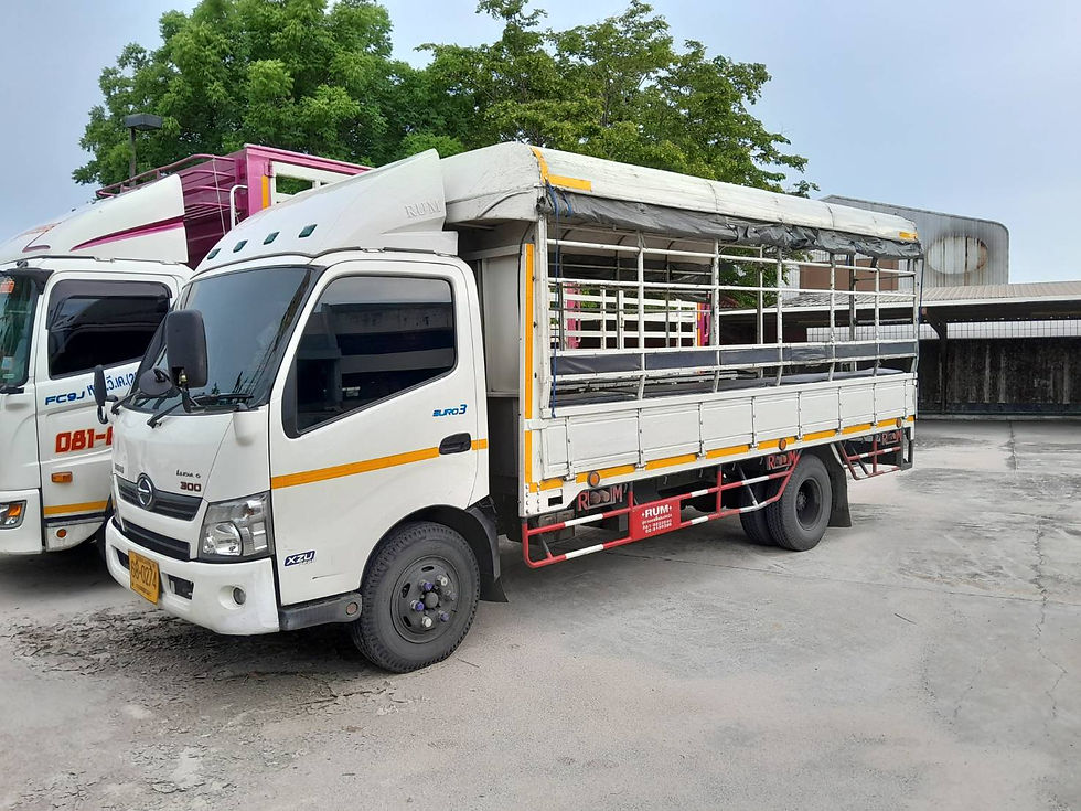 ภาพขนาดย่อ: HINO 6 ล้อ, กระบะไม้พร้อมหลังคาอลูมิเนียม (2022) HO10-6500559