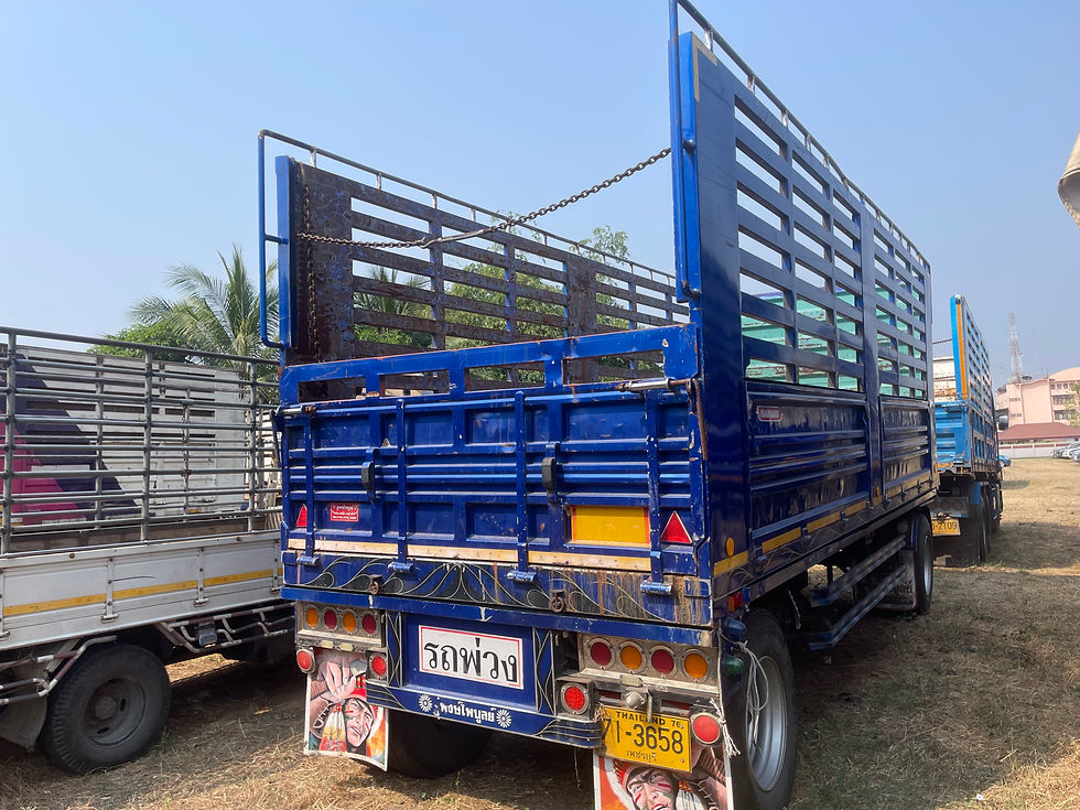 ภาพขนาดย่อ: OTHER หางพ่วงกระบะคอก (2022) SK22-6500412