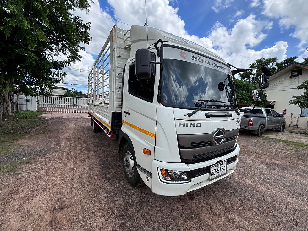 ภาพขนาดย่อ: HINO 6 ล้อ, กระบะคอกสูง (2023) HO10-6602678