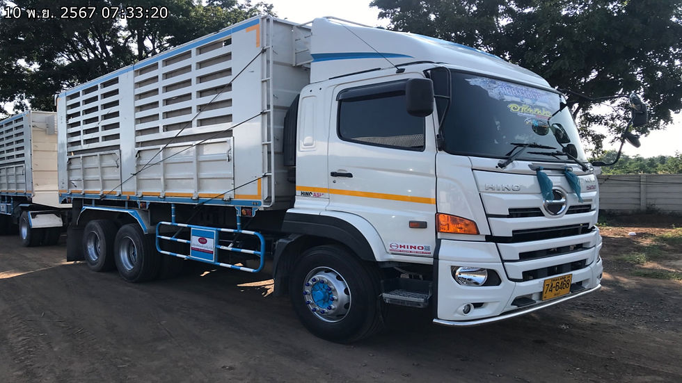 ภาพขนาดย่อ: HINO 10 ล้อ กระบะดั๊มพ์ (2023) HO10-6620351