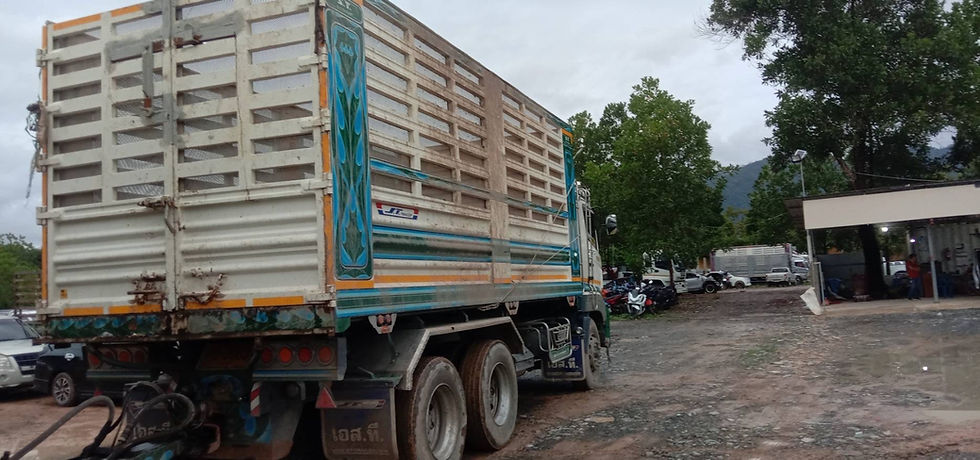 ภาพขนาดย่อ: HINO FM1AN1D(S) (10 ล้อ) กระบะดัมพ์พื้นเลสคอกอลูมิเนียม N/A (2022) SK22-6501073