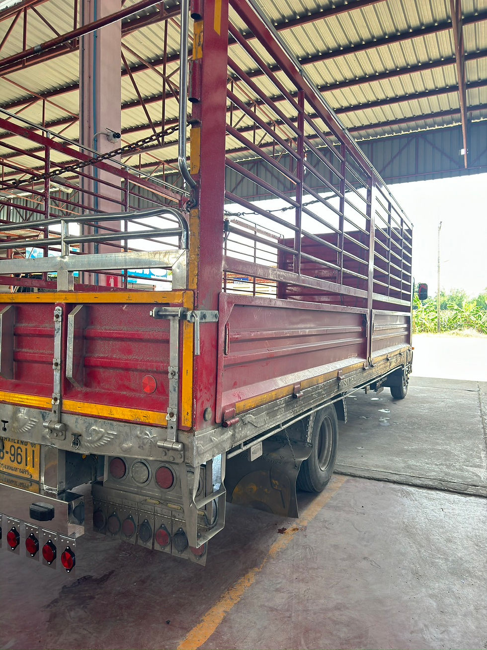 ภาพขนาดย่อ: HINO 6 ล้อ, กระบะเหล็กคอกสูง (2023) HO51-6600070