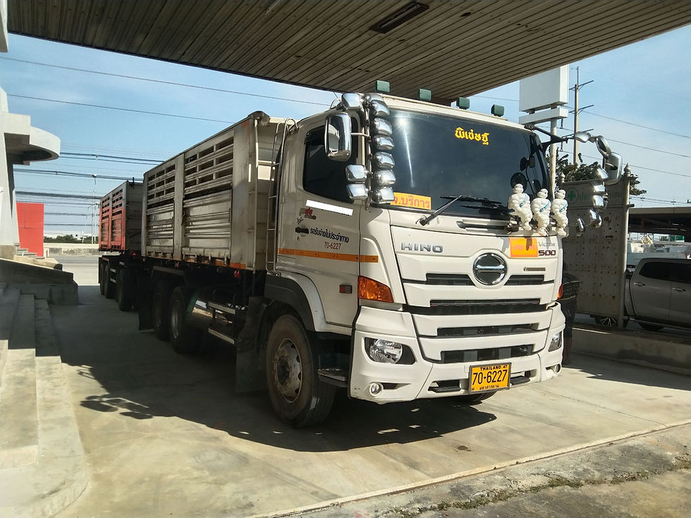 ภาพขนาดย่อ: HINO 10 ล้อ, กระบะดั๊มพ์ (2023) HO31-6600107