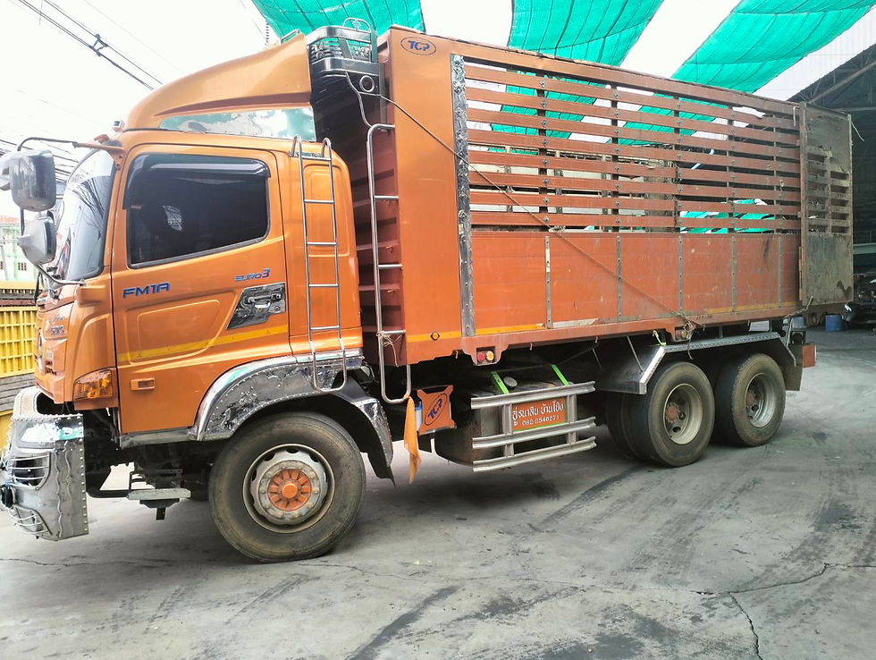 ภาพขนาดย่อ: HINO 10 ล้อ, กระบะดั๊มพ์ (2023) HO10-6620359