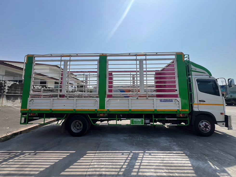 ภาพขนาดย่อ: HINO 6 ล้อ, กระบะคอกเกษตร (2023) HO10-6602384