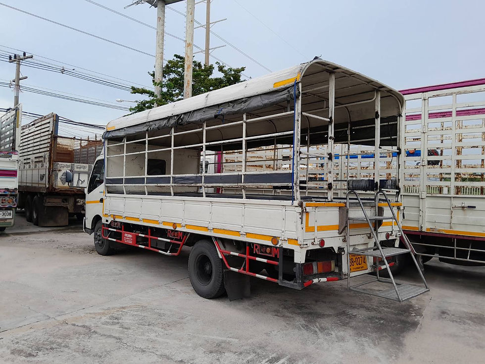 ภาพขนาดย่อ: HINO 6 ล้อ, กระบะไม้พร้อมหลังคาอลูมิเนียม (2022) HO10-6500559