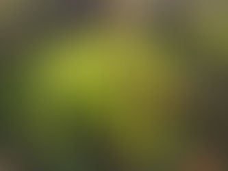 Astroloogiline mõtisklus kolmkõlast ja selleni jõudmisest...