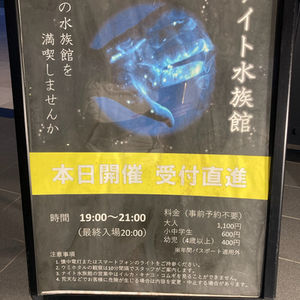 夜の水族館 シードーナッツ