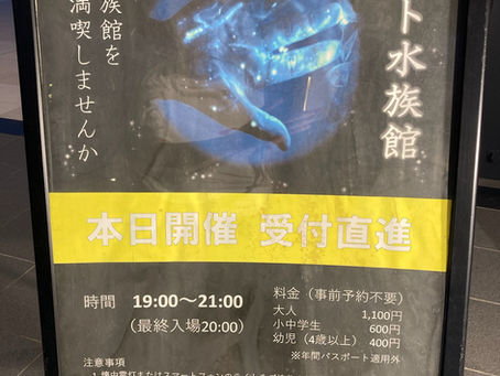 夜の水族館 シードーナッツ