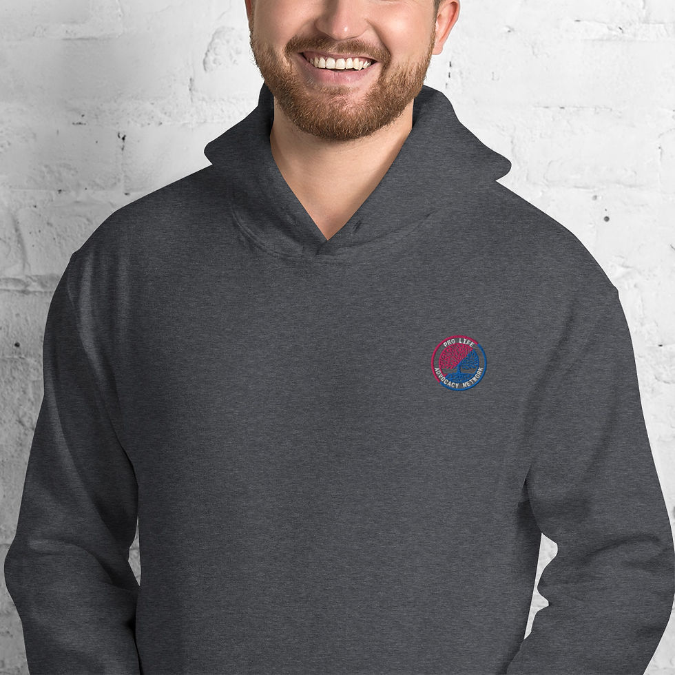 Thumbnail: PLAN Colored Logo Embroidered Hoodie