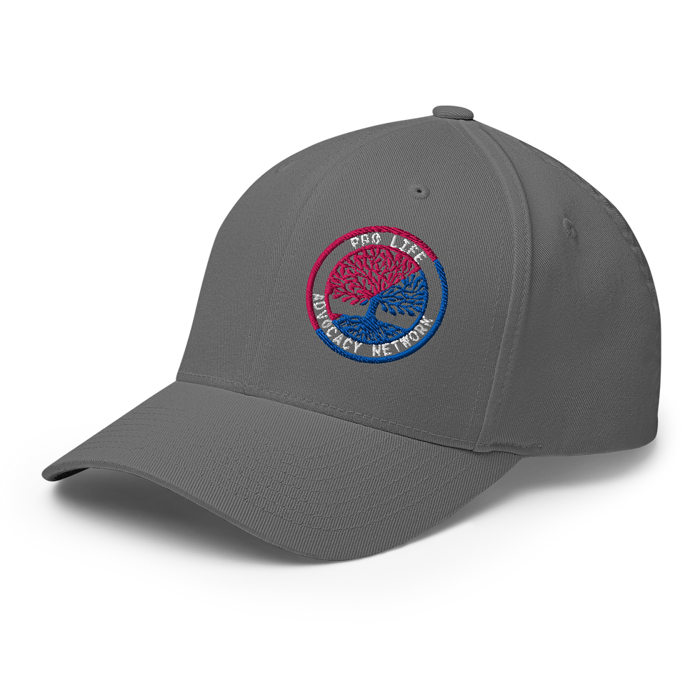Thumbnail: PLAN FlexFit Hat