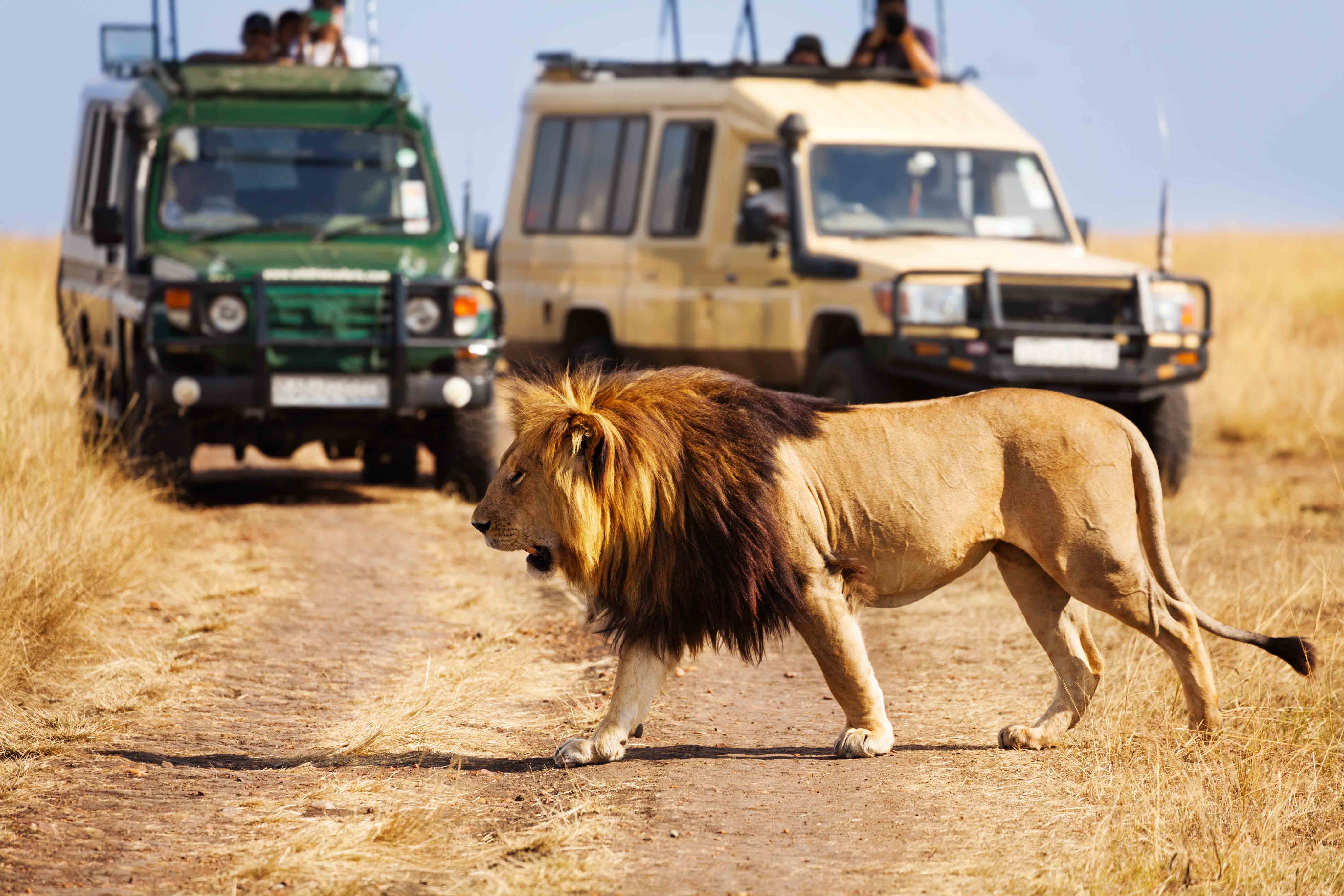 Masai Mara National Reserve