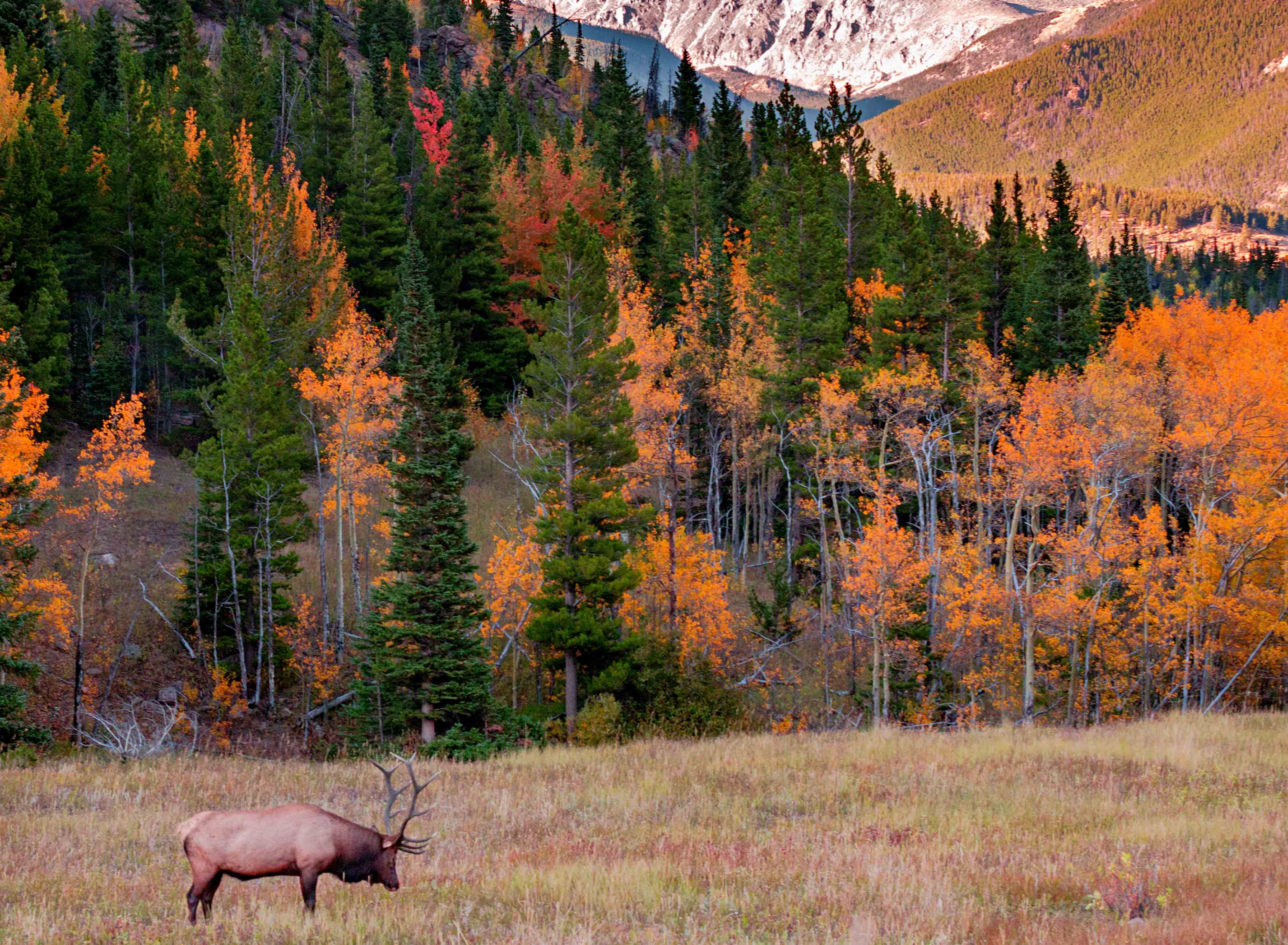 Rocky Mountain National Park