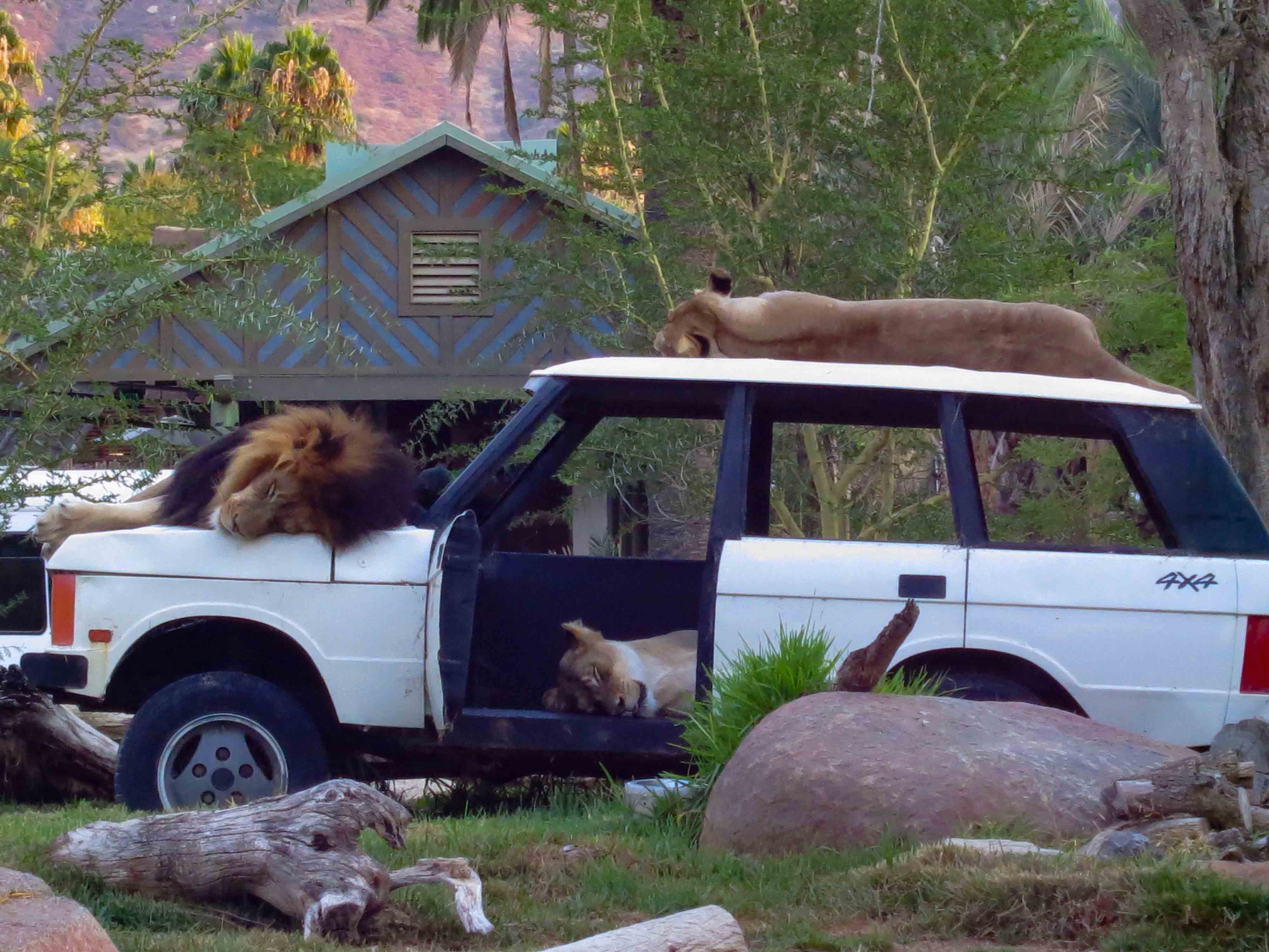The San Diego Zoo