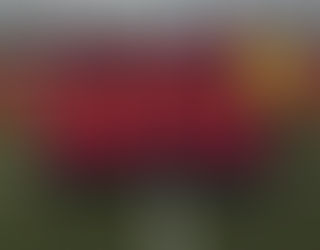 İŞTE AFA U12. İLK RAUND !