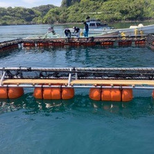 水産海洋技術開発部会 Sea Forum