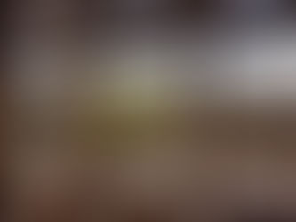 Roaring Fork Conservancy nears completion