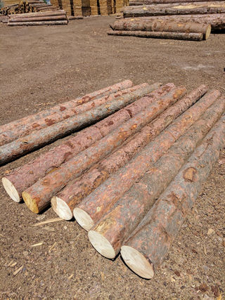 Hand selected columns for the River Center