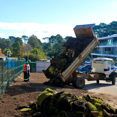 Jardines, este, punta del este, Uruguay, Maldonado, uy, profesionales, venta tierra, coloque césped, pasto, siembra, árboles, empresa jardinería, servicio jardinería, colocación de césped, especies, preparación jardines, jardines verticales, cercos vivos, mantenimiento,  Jardineros, Paisajismo, Sistema riego, colocación piscina, pileta, natatorio, alberca, deck, patio, plantas, flores, vegetación, ornamentación, canteros, arreglos florares, espacios verdes, podas, podar, vivero, reverdecer, quintal,  mano verde, manoverde, highgarden