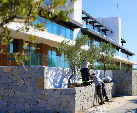 Jardines, este, punta del este, Uruguay, Maldonado, uy, profesionales, venta tierra, coloque césped, pasto, siembra, árboles, empresa jardinería, servicio jardinería, colocación de césped, especies, preparación jardines, jardines verticales, cercos vivos, mantenimiento,  Jardineros, Paisajismo, Sistema riego, colocación piscina, pileta, natatorio, alberca, deck, patio, plantas, flores, vegetación, ornamentación, canteros, arreglos florares, espacios verdes, podas, podar, vivero, reverdecer, quintal,  mano verde, manoverde, highgarden