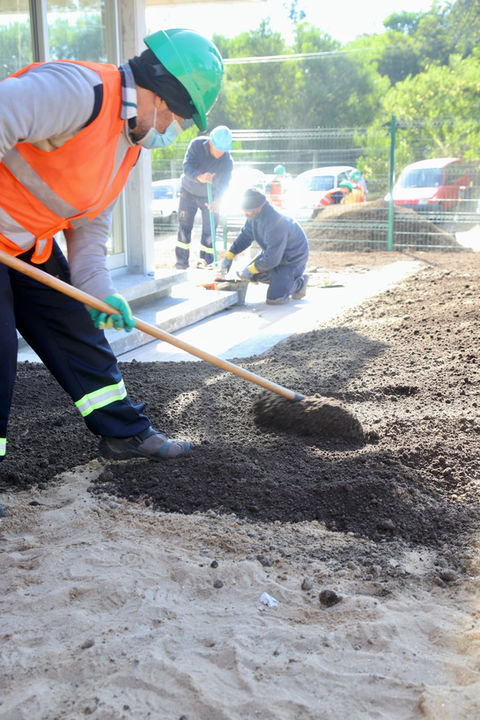 Jardines, este, punta del este, Uruguay, Maldonado, uy, profesionales, venta tierra, coloque césped, pasto, siembra, árboles, empresa jardinería, servicio jardinería, colocación de césped, especies, preparación jardines, jardines verticales, cercos vivos, mantenimiento,  Jardineros, Paisajismo, Sistema riego, colocación piscina, pileta, natatorio, alberca, deck, patio, plantas, flores, vegetación, ornamentación, canteros, arreglos florares, espacios verdes, podas, podar, vivero, reverdecer, quintal,  mano verde, manoverde, highgarden