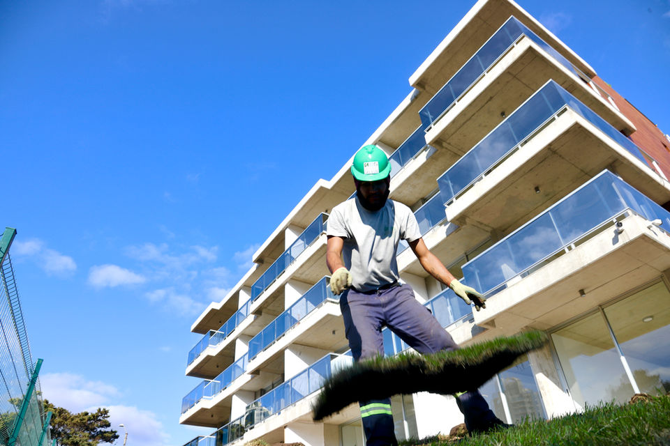 Jardines, este, punta del este, Uruguay, Maldonado, uy, profesionales, venta tierra, coloque césped, pasto, siembra, árboles, empresa jardinería, servicio jardinería, colocación de césped, especies, preparación jardines, jardines verticales, cercos vivos, mantenimiento,  Jardineros, Paisajismo, Sistema riego, colocación piscina, pileta, natatorio, alberca, deck, patio, plantas, flores, vegetación, ornamentación, canteros, arreglos florares, espacios verdes, podas, podar, vivero, reverdecer, quintal,  mano verde, manoverde, highgarden
