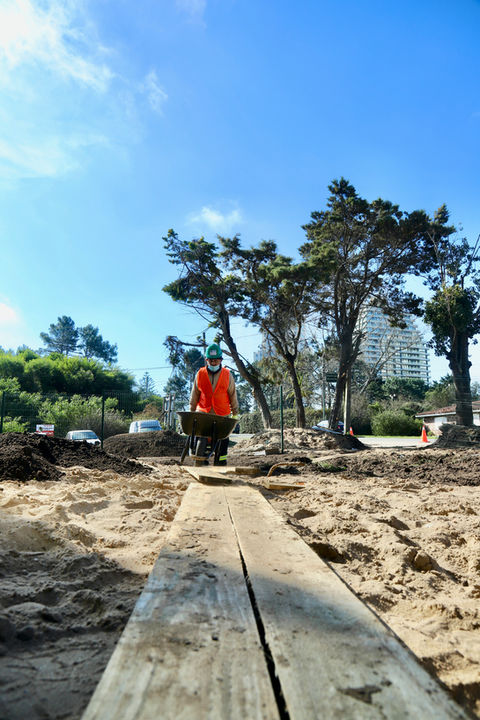 Jardines, este, punta del este, Uruguay, Maldonado, uy, profesionales, venta tierra, coloque césped, pasto, siembra, árboles, empresa jardinería, servicio jardinería, colocación de césped, especies, preparación jardines, jardines verticales, cercos vivos, mantenimiento,  Jardineros, Paisajismo, Sistema riego, colocación piscina, pileta, natatorio, alberca, deck, patio, plantas, flores, vegetación, ornamentación, canteros, arreglos florares, espacios verdes, podas, podar, vivero, reverdecer, quintal,  mano verde, manoverde, highgarden
