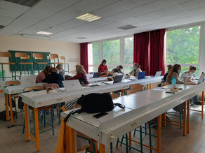 Bien-être des veaux : atelier participatif au Lycée le Robillard