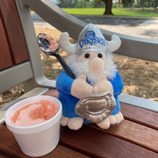 A stuffed viking holding a spoon with a cup of strawberry ice cream