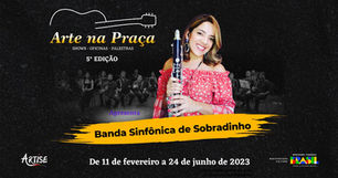 ARTE NA PRAÇA V