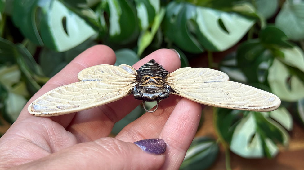 Thumbnail: CICADA Darker-Hidden loop on back