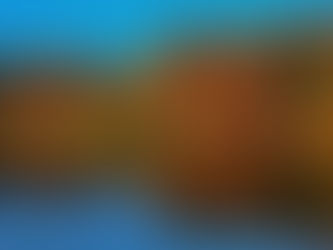 Autumn colours reflected in lake