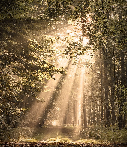 Sunlight 1_edited.jpg