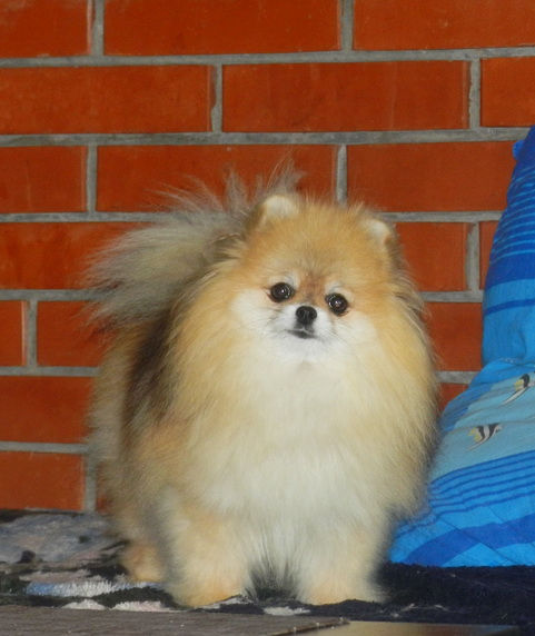 DSCN6943